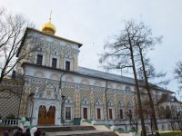 RTV_011