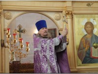 2013.03.27.Федоровское-28