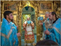 2014.07.21.Владыка южноамериканский-20