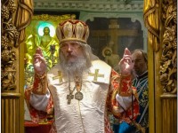 2014.07.21.Владыка южноамериканский-26