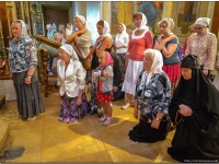2014.07.21.Владыка южноамериканский-32