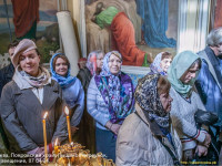 IMG_9049
