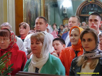 P4201587_wm