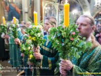 IMG_2241